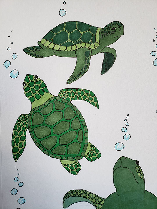 ink drawing of sea turtles